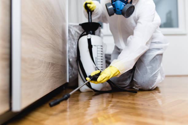 Best Rat Extermination Near Me  in Yukon, OK