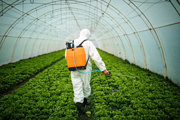 Best Pest Prevention Services  in Yukon, OK