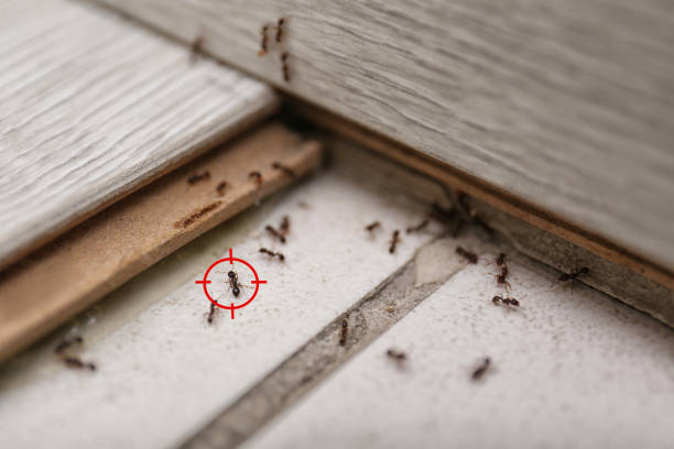 Best Residential Pest Control  in Yukon, OK
