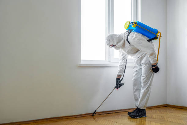 Best Flea Control Services  in Yukon, OK