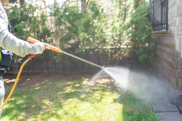 Best Local Pest Control Services  in Yukon, OK