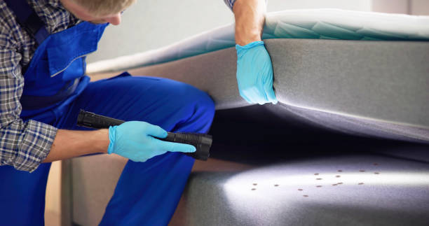 Best Pest Control Near Me  in Yukon, OK