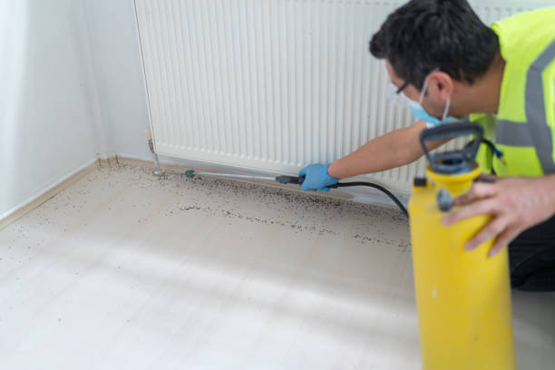 Best Pest Removal Services  in Yukon, OK