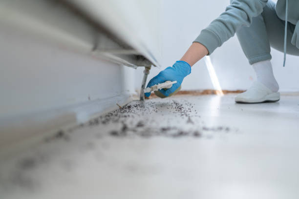 Best Emergency Pest Control  in Yukon, OK
